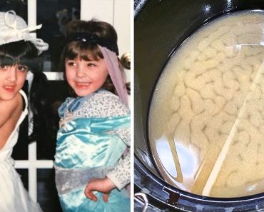 16 zavarba ejtő fotó, ami miatt megálltunk és közelebbről megnéztük őket