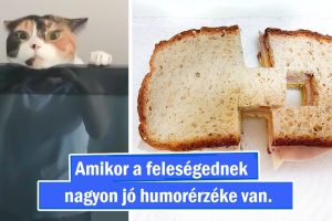 20 alkalom, amikor a családi élet izgalmasabbnak bizonyult a vártnál