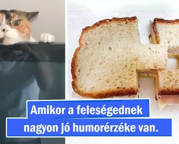 20 alkalom, amikor a családi élet izgalmasabbnak bizonyult a vártnál