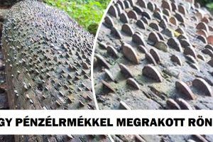 18 alkalom, amikor az emberek figyelemre méltó dolgokkal találkoztak, és nem tudták megállni, hogy ne készítsenek egy képet