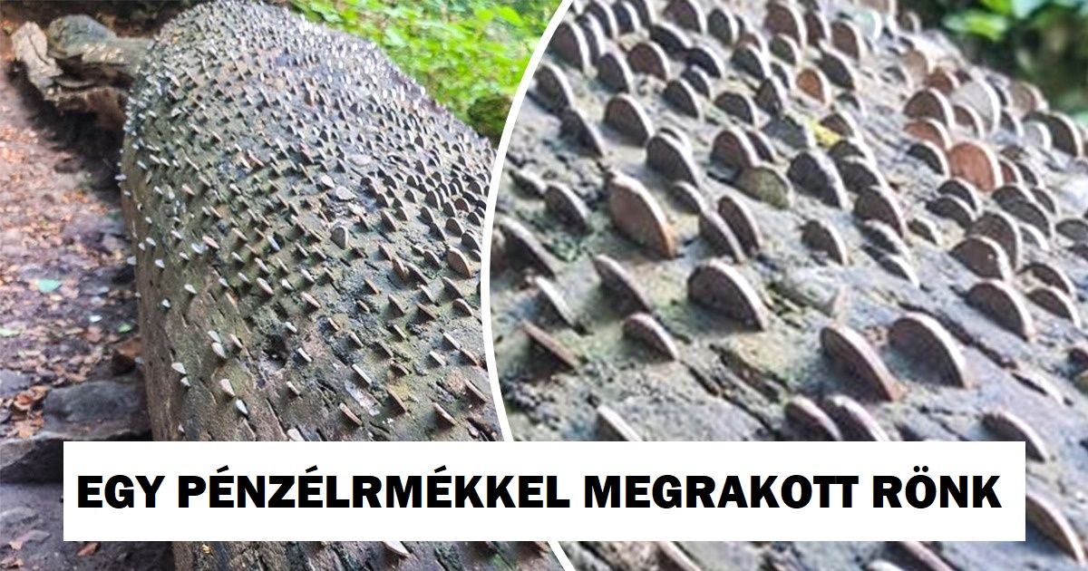 18 alkalom, amikor az emberek figyelemre méltó dolgokkal találkoztak, és nem tudták megállni, hogy ne készítsenek egy képet