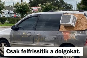 15 ember, aki olyan helyzeteket örökített meg, amelyek olyan viccesek, mint egy hordó majom