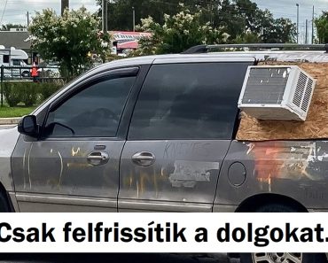 15 ember, aki olyan helyzeteket örökített meg, amelyek olyan viccesek, mint egy hordó majom
