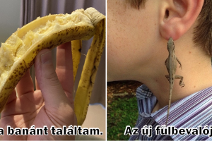 15 alkalom, amikor a gyerekek őrülten megnevettették a felnőtteket
