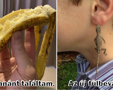 15 alkalom, amikor a gyerekek őrülten megnevettették a felnőtteket
