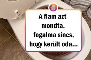 18 gyermek, akik azért születtek, hogy szüleik türelmét a következő szintre emeljék