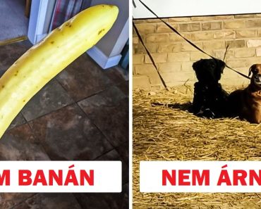 15 kép, ami megmutatja, hogy nem minden az, aminek látszik