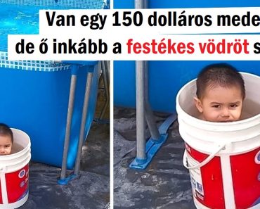 19 fotó, amely megmutatja, hogy a gyerekek mindig új utakat találnak a dolgok megcsinálására