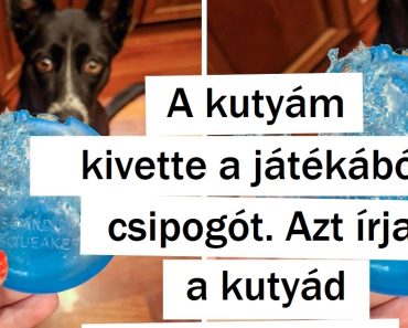 16 fotó, ami bizonyítja, hogy az élet tele van iróniával