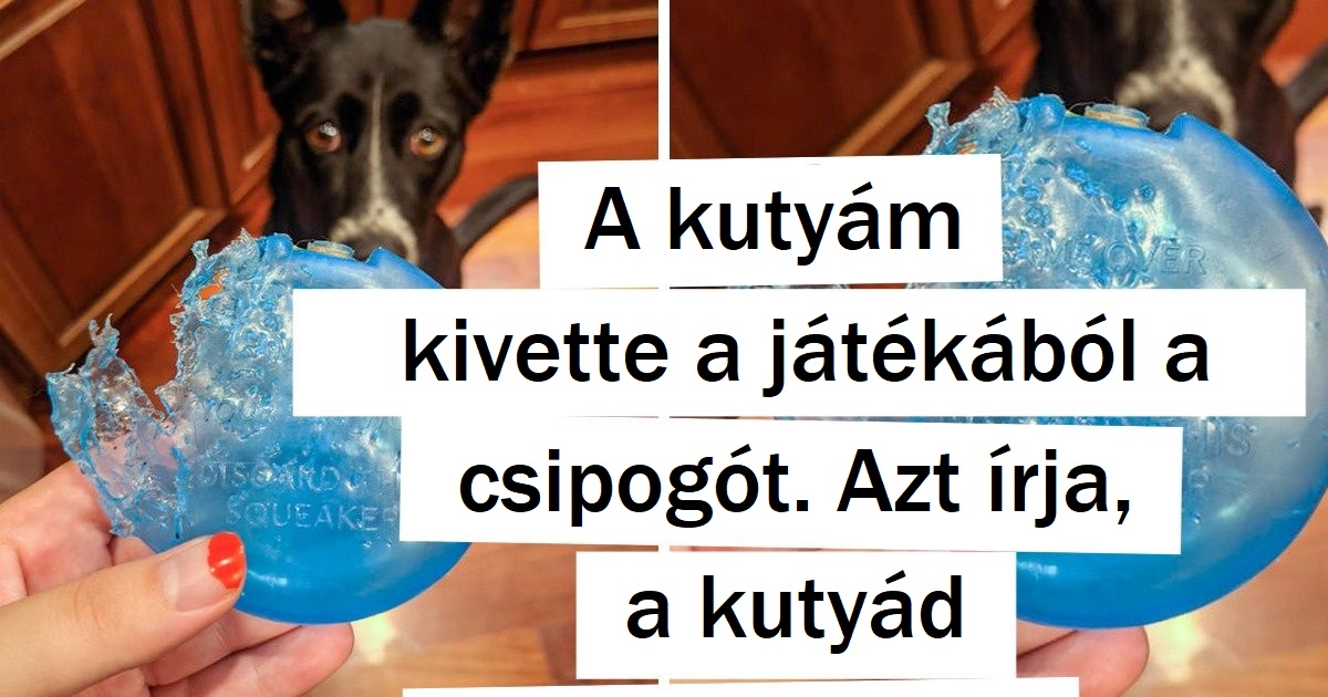 16 fotó, ami bizonyítja, hogy az élet tele van iróniával