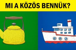 Csak a zsenik és a skizofrének tudják megválaszolni ezt a három kérdést helyesen