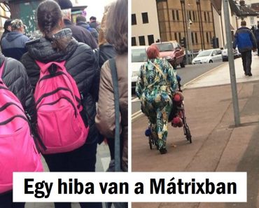 15 fotó, amely bebizonyítja, hogy a mátrix mindig képes meglepni minket