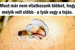 10 kérdés, amely gyerekkorunk óta kísért bennünket, és a tudósok végül megkapták a választ