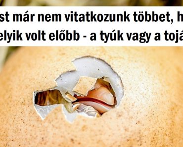 10 kérdés, amely gyerekkorunk óta kísért bennünket, és a tudósok végül megkapták a választ 10 kérdés, amely gyerekkorunk óta kísért bennünket, és a tudósok végül megkapták a választ