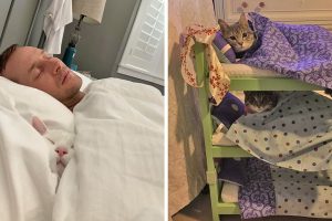 15 szívből jövő kép, amire szükséged van egy hűvös napon