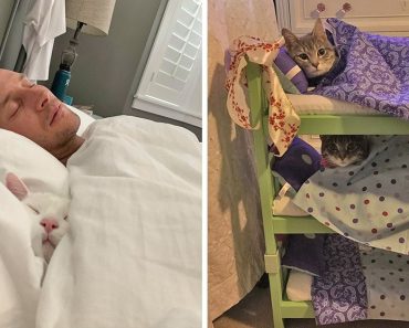 15 szívből jövő kép, amire szükséged van egy hűvös napon