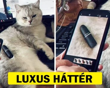15 ember, aki ismeri a könnyű élet titkát