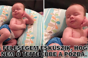 15 kép, amitől azt fogod mondani: „Ó, a szívem!”