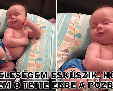 15 kép, amitől azt fogod mondani: „Ó, a szívem!” 15 kép, amitől azt fogod mondani: „Ó, a szívem!”
