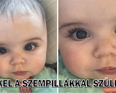 20 kép, amelyek némi napfényt hozhatnak a napodba 20 kép, amelyek némi napfényt hozhatnak a napodba