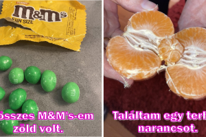 20 ember, akiknek ki kellene próbálniuk a szerencséjüket a kaszinóban
