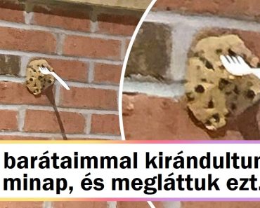 15 ember, aki elég szerencsés volt ahhoz, hogy tanúja legyen egy véletlen egybeesésnek