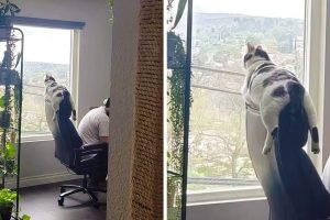 15+ kép, amely feldobja a hangulatod egy esős napon