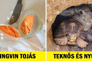 15 ember, akiknek szerencséjük volt, hogy megörökíthették a saját csodájukat
