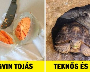 15 ember, akiknek szerencséjük volt, hogy megörökíthették a saját csodájukat