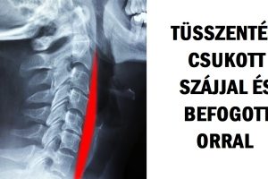20 szemfelnyitó fénykép, amit látva azt kívánjuk, bárcsak megjelenne az iskolai tankönyvekben