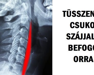 20 szemfelnyitó fénykép, amit látva azt kívánjuk, bárcsak megjelenne az iskolai tankönyvekben