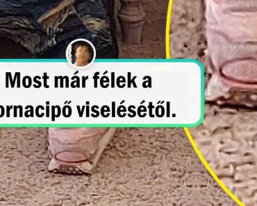 19 szerencsés ember, akik véletlenül fotó remekműveket hoztak létre egy kis varázslattal a kezükben