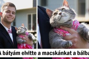 20 kép, ami bebizonyította, hogy az élet körülöttünk tele van komédiával