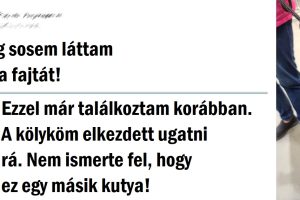 16 állat, akik megleptek minket a kinézetükkel