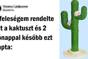 20+ alkalom, amikor a elvárások még egy kicsit sem találkoztak a valósággal