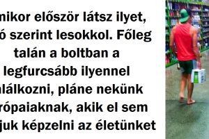22 csodálatra méltó tény Új-Zélandról, ami elsőre zavarba ejtő lesz