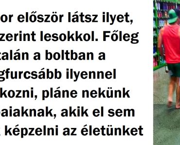 22 csodálatra méltó tény Új-Zélandról, ami elsőre zavarba ejtő lesz