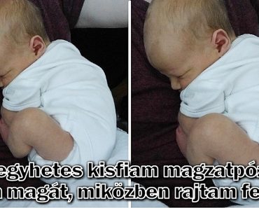 15 kép, ami egyből „Ó, a szívem!” üzemmódba kapcsol téged