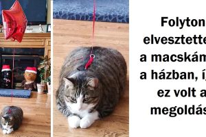 20+ ember, akik nindzsák a bajok kezelésében