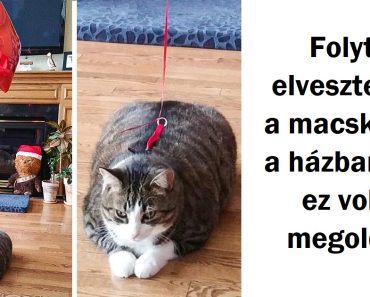 20+ ember, akik nindzsák a bajok kezelésében