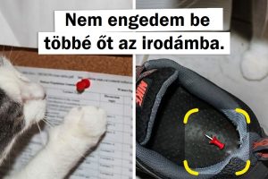 18 ember, aki háziállatot akart, de helyette egy csintalan lakótársat kapott