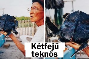 15 alkalom, amikor a természet úgy döntött, hogy ismét meglep minket
