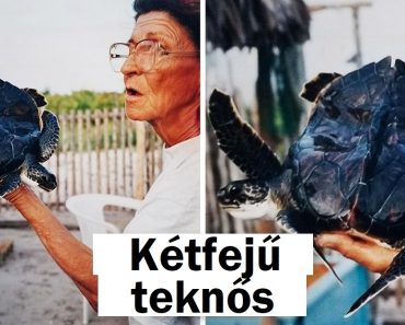 15 alkalom, amikor a természet úgy döntött, hogy ismét meglep minket