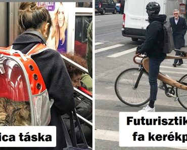 16 tervező, akik úgy tűnik, kinyitották a kreativitás dobozát és igazi kincseket hoztak létre