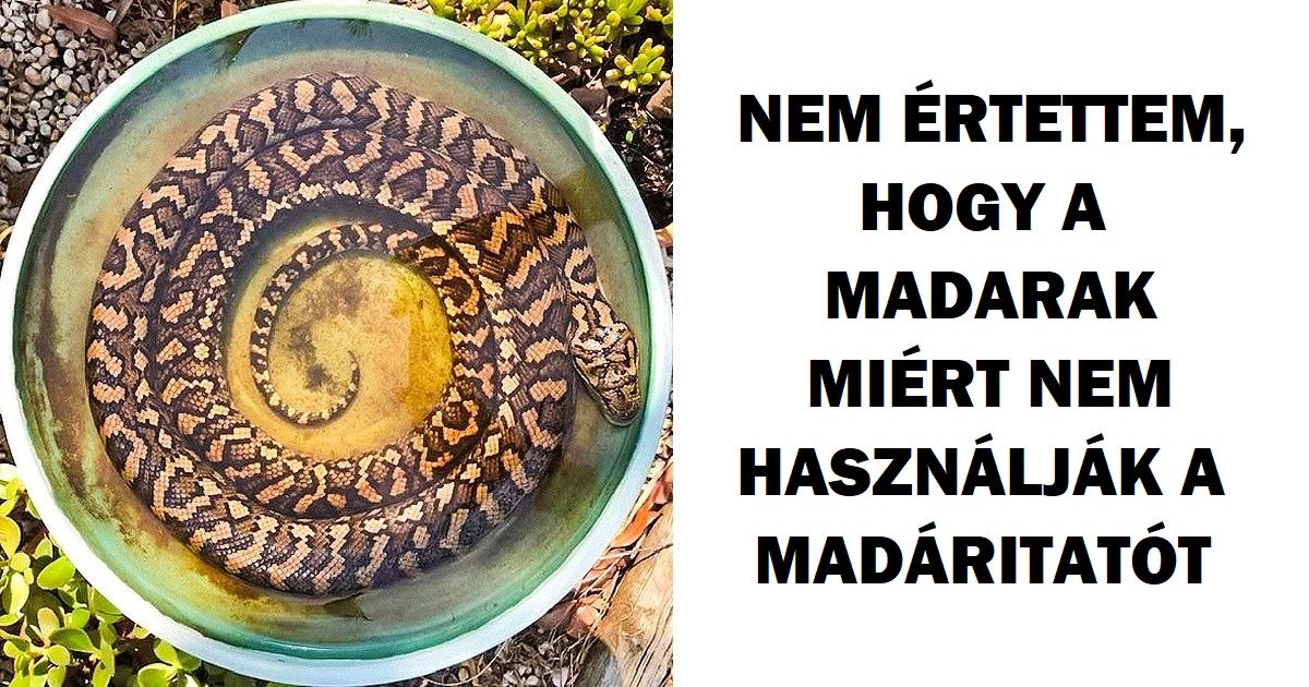 20+ kép, amely megmutatja, hogy Ausztráliában soha nincs egy unalmas pillanat