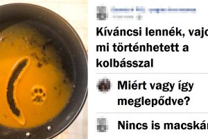 20+ ember, akik csak ízletes ételt szerettek volna, de pórul jártak