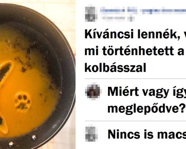 20+ ember, akik csak ízletes ételt szerettek volna, de pórul jártak