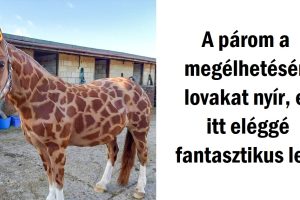 16 alkalom, amikor az emberek elég szerencsések voltak, hogy megörökítsenek valami egyedit