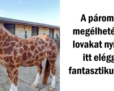 16 alkalom, amikor az emberek elég szerencsések voltak, hogy megörökítsenek valami egyedit