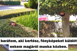 16 ember, akik annyira szeretik a munkájukat és a munkatársaikat, hogy ezt nem tudják nem kimutatni